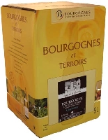 1 Fontaine à vin Bourgogne Côtes d'Auxerre Chardonnay 2018 - longue conservation - Bag in Box