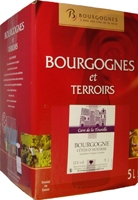 1 Fontaine à vin Bourgogne Rouge 2017 -longue conservation - ( Bag in Box )