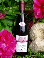 Ce vin rouge est issu d'une parcelle sélectionnée.Cette vieille vigne date de 1966, elle a un faible rendement qui est de 45 hectolitres par hectare.De ce fait on obtient un vin de grande qualité q... 
